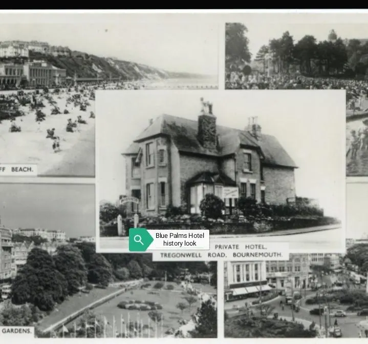 Blue Palms Guest House Bournemouth